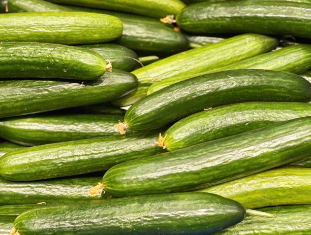 istock Green cucumbers harvest top view 1290225036