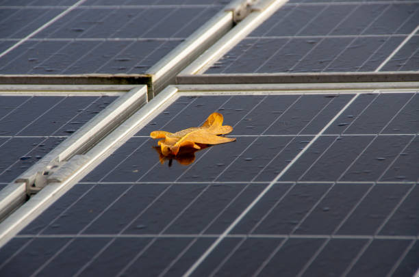 Wet Photovoltaic modules after rain with a leaf. High quality photo