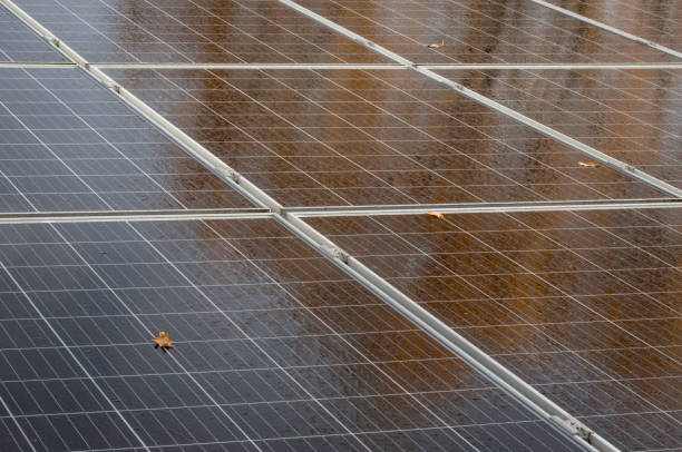 Monocrystalline photovoltaic modules in close-up as texture or background. High quality photo