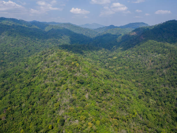 istock aerial view of mountain and rainforest 1290228839
