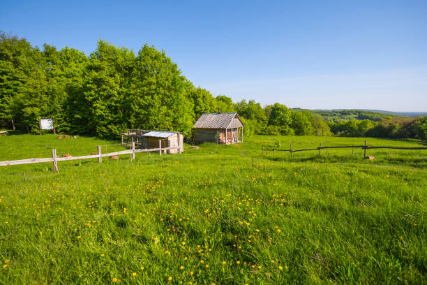 istock green idyllic rural scene 1290232072