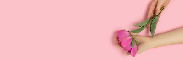 istock Hands hold peony flower on a pink pastel background. 1290233260