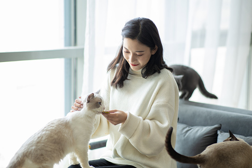 Smiling young woman holding her adorable chocolate point siamese cat in her arms while standing in her home