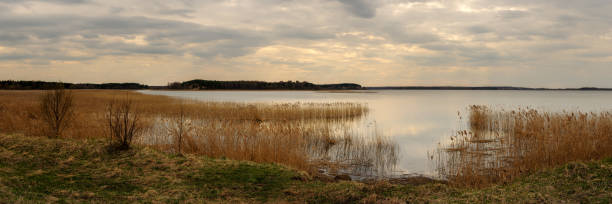istock cloudy spring day. wide panoramic view from the grassy coast to a large calm lake with coastal reeds and the opposite shore under a dramatic sky 1290235630
