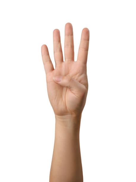 istock Woman hand showing four fingers.Isolated object 1290235657