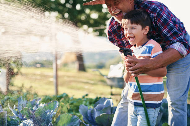 istock Grandfather and grandson having fun while watering vegetables 1290235849