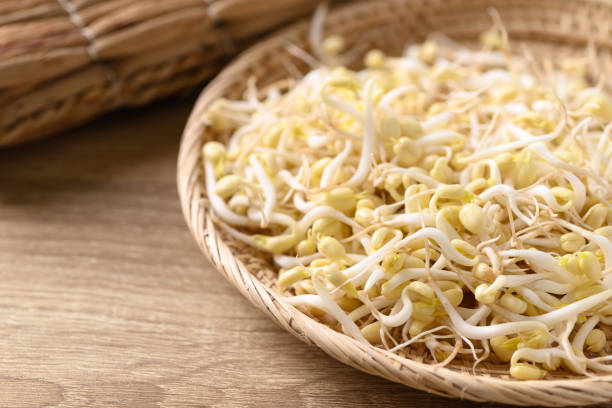 Fresh mung bean sprouts in bamboo basket Fresh mung bean sprouts in bamboo basket, Organic vegetables and food ingredients in Asian food cooking Sprouts stock pictures, royalty-free photos & images