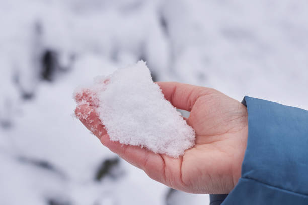 istock A woman holds white clean snow on her palm. 1290238361