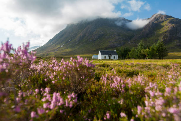 bothy at glencoe valley in front of mountain behind purple heather under cloudy sky