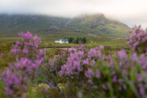 istock lagangarbh cottage, glencoe, scotland 1290238532