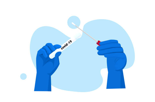 illustrations, cliparts, dessins animés et icônes de mains de docteur ou de scientifique retenant le concept pandémique de test de laboratoire d’écouvillon nasal covid-19 - pcr device