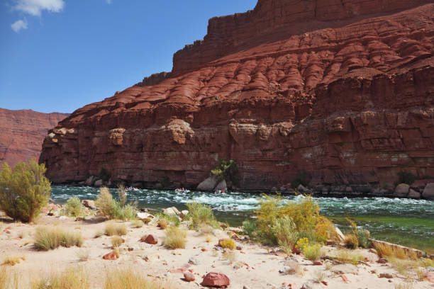 istock Company tourists in three kayaks 1290242544