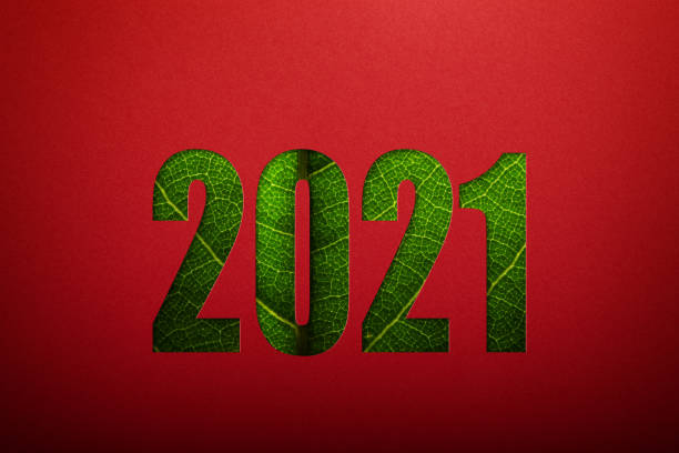 istock New year and environmental conservation concept 1290243102