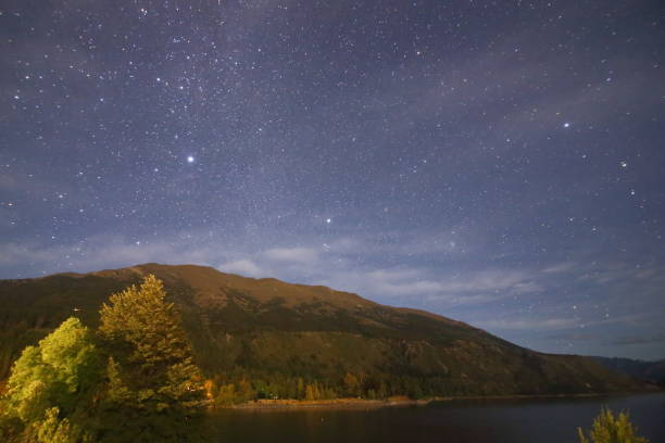istock Starry night in New Zealand 1290247298
