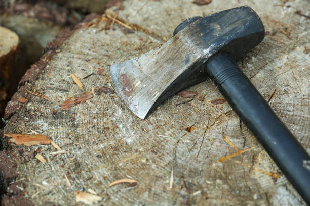istock old hatchet is on background of stump 1290249311