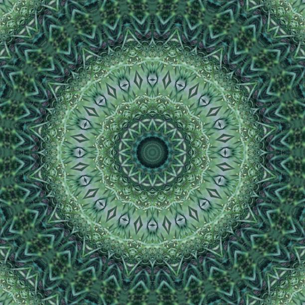 istock Green abstract leaf backgroudn with mandala shape 1290252087