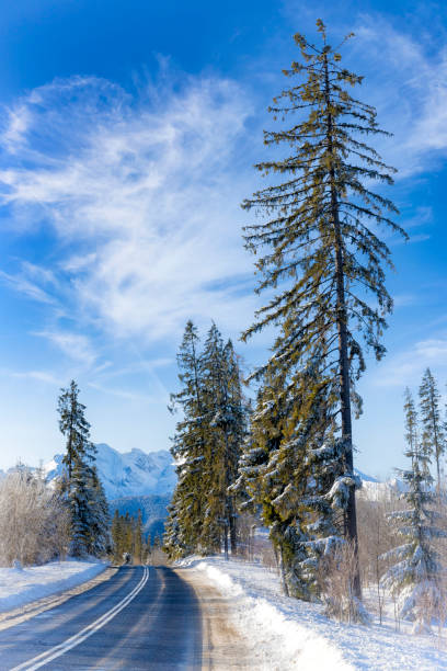 Vacations in Poland - Road leading to the Morskie Oko lake in the Tatra Mountains