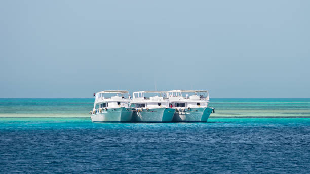 istock Beautiful white private motor yachts 1290253258
