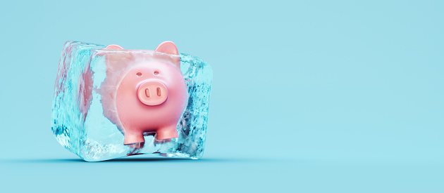 Banco de cerdo congelado en cubo de hielo sobre fondo azul photo