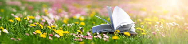 istock Open book in the grass on the field on sunny day 1290261909