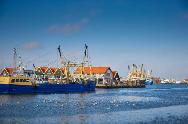 the port of oudeschild, texel - oudeschild imagens e fotografias de stock