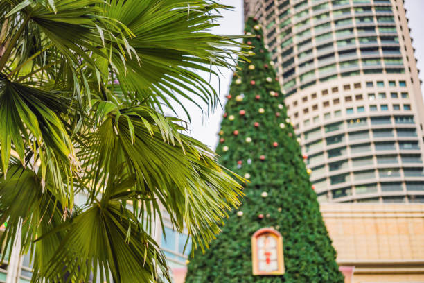 arbre de noël et palmiers décorés dans l’endroit tropical de vacances - christmas palm tree island christmas lights photos et images de collection