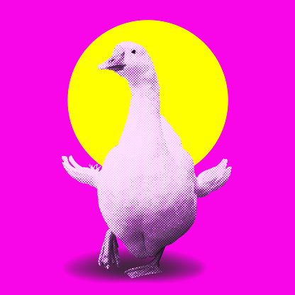 Modern collage bright poster with a goose and sun. Vector illustration