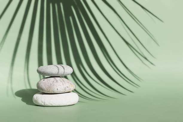 istock Three grey roundstones with a shadow of palm leaf on light green background. Spa stones, zen concept.Shadows photography. Eco trends. Nature aesthetic 1290274910