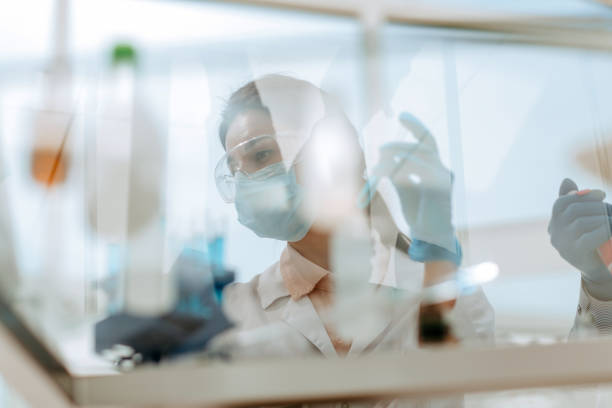 ガラスを通して。実験室のテーブルに座っている女性科学者 - stem glass ストックフォトと画像