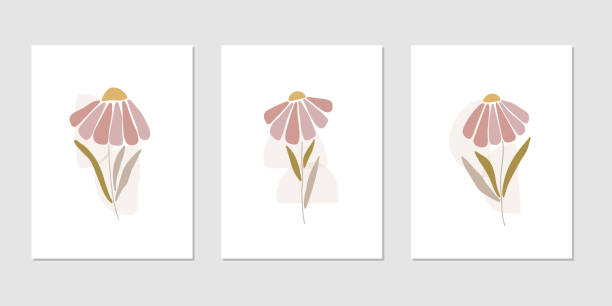 ilustrações, clipart, desenhos animados e ícones de ilustração vetorial da silhueta de camomila. flor de marguerita - single flower flower marguerite white background