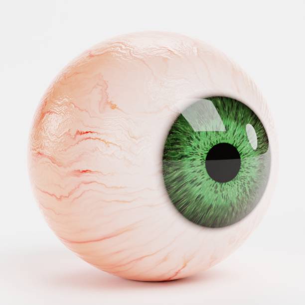 Realistic 3D Render of Human Eye Realistic 3D Render of Human Eye procedural generation stock pictures, royalty-free photos & images