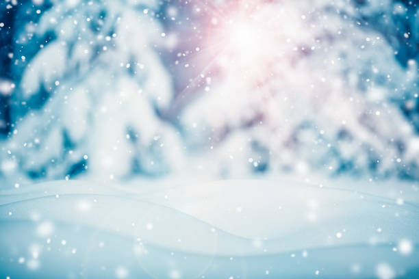 istock Winter snowy background with trees in snowfall 1290277728