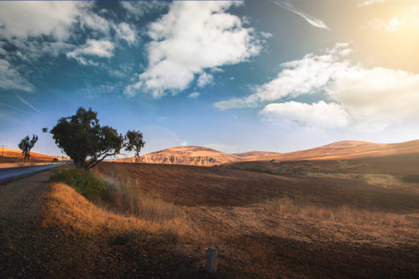 landscape for a beautiful Sunrise in tlemcen algeria Sunrise with clouds and trees