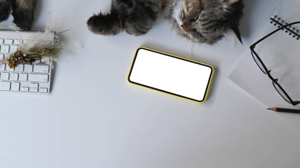 istock Top view of simple workspace with mobile phone, cat, notebook and glasses on white desk. 1290288966