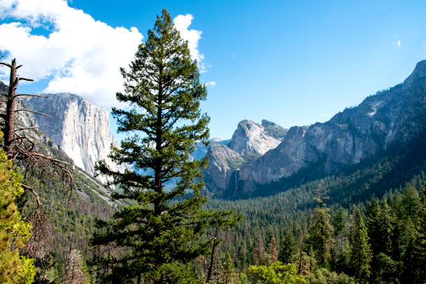 istock Yosemite National Park 1290290173
