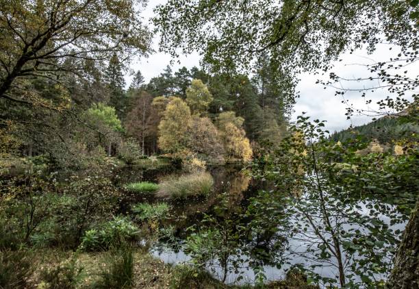istock Autumn At Glencoe Lochan. 1290290251