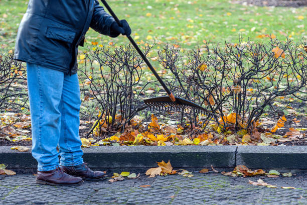 istock man cleaning up fallen leaves with rake on sunny day, autumn work 1290296081