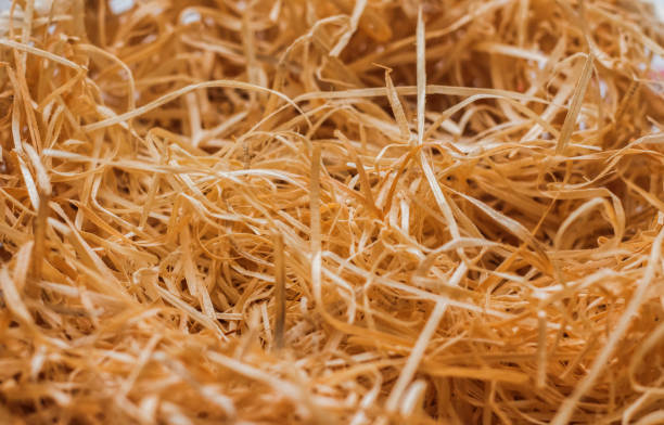 Wooden sawdust shavings natural texture background