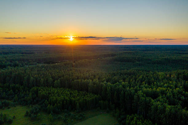 istock colorful sunset over over the trees, evening landscape 1290299413
