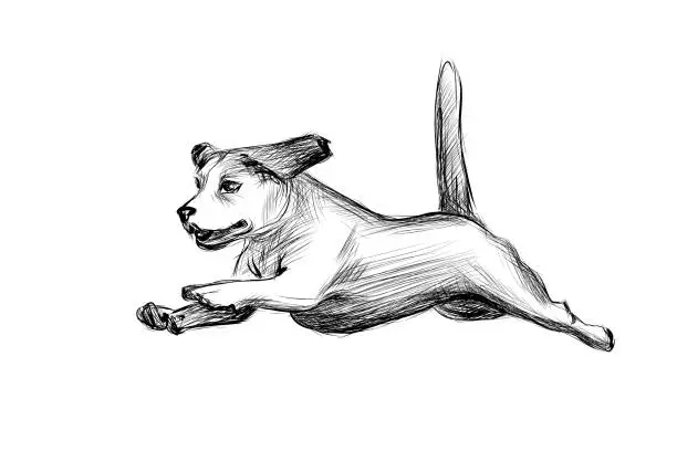 Vector illustration of Running dog hand drawn sketch