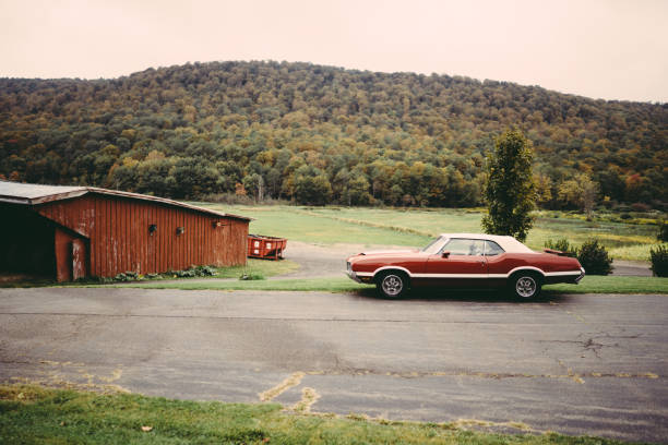 istock Old retro American car in countryside 1290299626