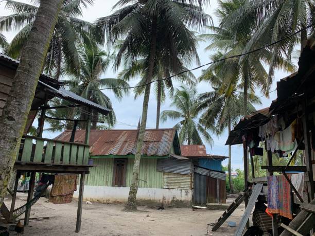 istock Houses and Coconut Trees 1290300669