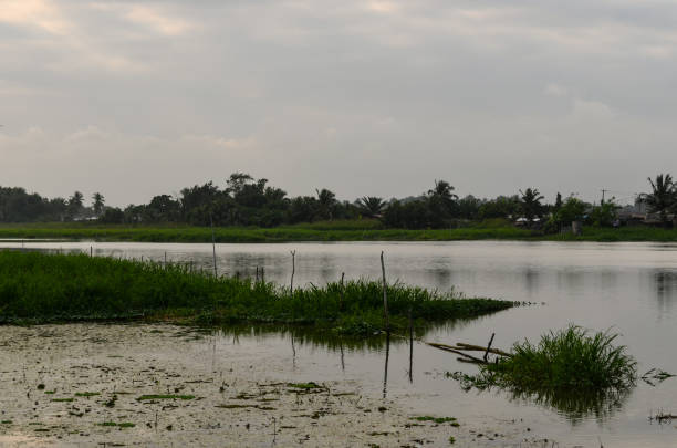 istock Ebrie Lagoon in Ivory Coast 1290302276