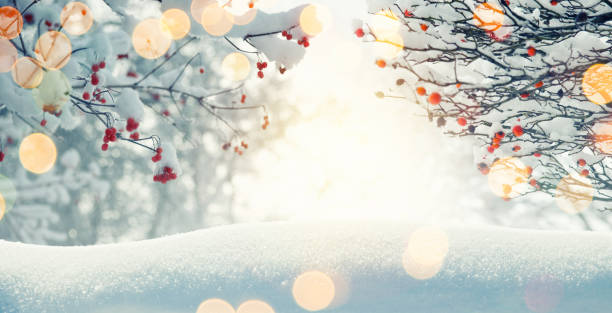 fundo de inverno para decoração de natal com neve e luzes desfocadas - vibrant color forest ice snow - fotografias e filmes do acervo