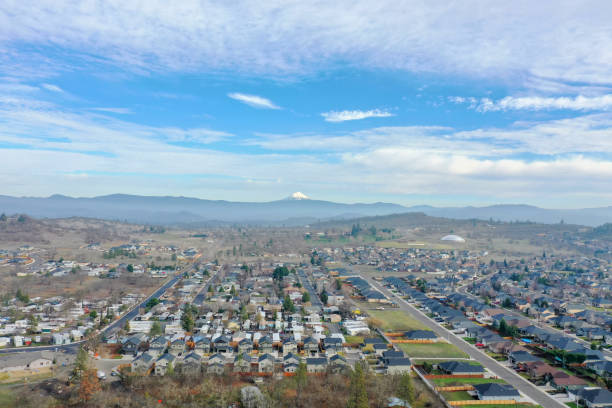 istock Peaceful town surrounded by trees with mountains as background 1290302698