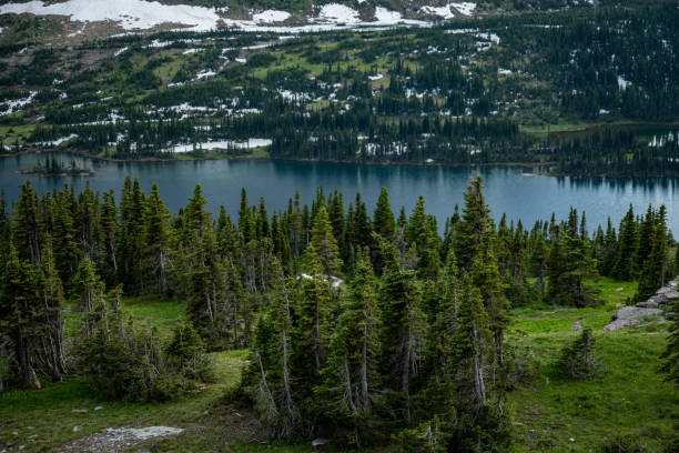 istock Lush Green Forest And Hidden Lake 1290302733