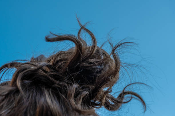 Messy Tangle of Hair