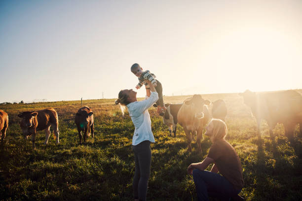 crescere un bambino di campagna felice - farm cow foto e immagini stock