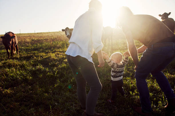 istock Home is where our kid and cows are 1290307427