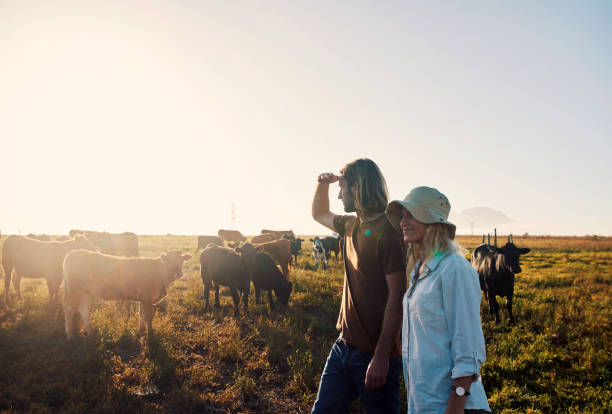 istock Working and living on a farm is such a beautiful experience 1290307430